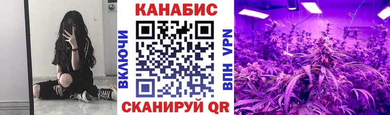 Наркота Кострома Конопля  Альфа ПВП  Амфетамин  МЕФ  Псилоцибиновые грибы  ГАШ  COCAIN 