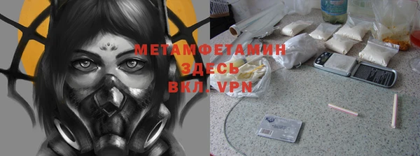 прущие грибы Санкт-Петербург