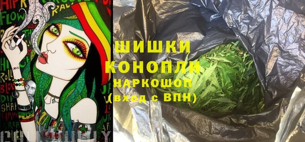 прущие грибы Санкт-Петербург