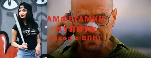 прущие грибы Санкт-Петербург