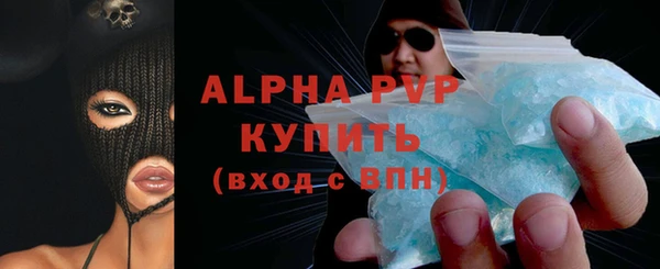 прущие грибы Санкт-Петербург