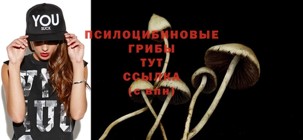 прущие грибы Санкт-Петербург