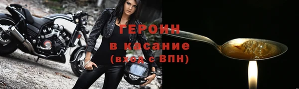 прущие грибы Санкт-Петербург