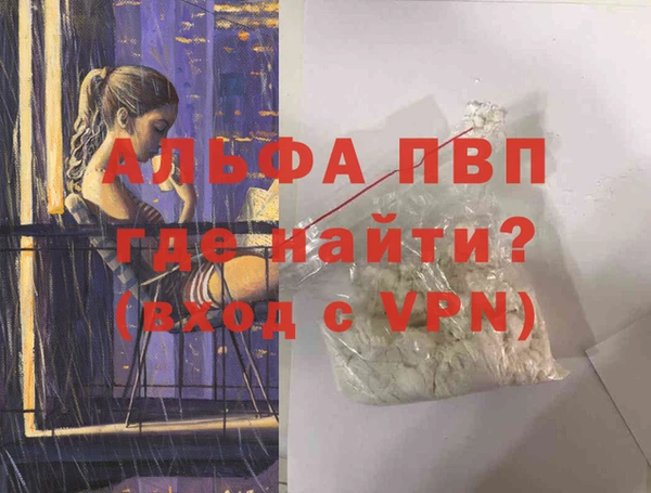 прущие грибы Санкт-Петербург