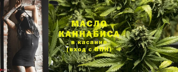 прущие грибы Санкт-Петербург