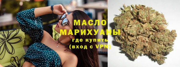прущие грибы Санкт-Петербург