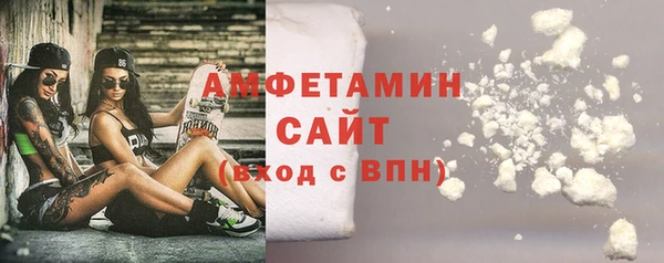 прущие грибы Санкт-Петербург