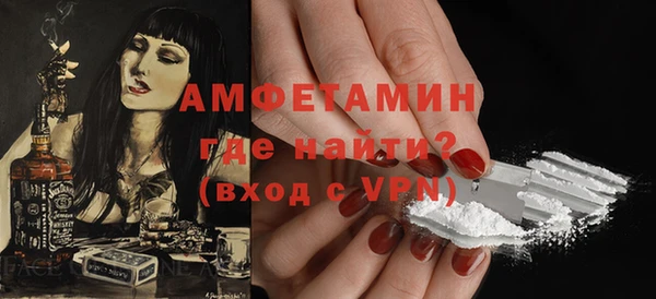 прущие грибы Санкт-Петербург