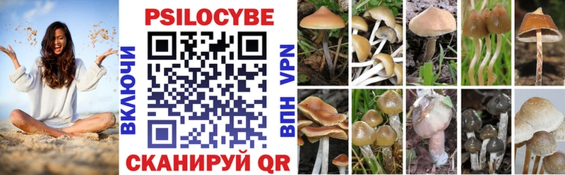 Псилоцибиновые грибы Magic Shrooms  Кострома 