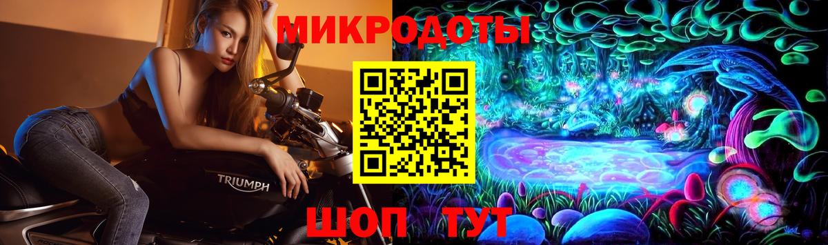 Псилоцибиновые грибы GOLDEN TEACHER Кострома